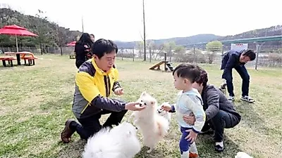 용인시, 기흥호수공원에 국내 최대 반려견 놀이터 조성