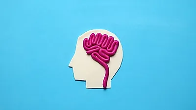 아직 완벽하지 않은 치매 치료제,  예방법은 무엇…뇌에 좋은 음식 및  치매는 어떤 질환?