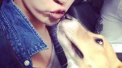 정준영, 반려견과 진한 애정행각 '애틋'