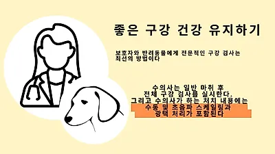 반려동물 구강관리법 “양치질 습관 들여야”