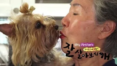 스카이펫파크, 유기견 입양프로젝트 '잘 살아보시개' 방송