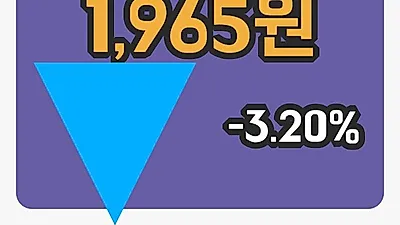 리노스 2일 1,965원 장종료