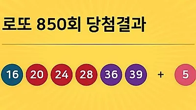 동행복권 850회 204억 누구꺼? 당첨지역 경기도 5곳, 경남 2곳 등...