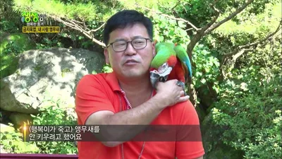 양평 앵무새 아빠 이강렬 씨가 25마리 새를 위해 전용 온실까지 지은 이유