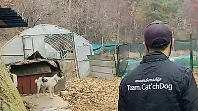 "내가 먹고 팔라고 개 키웠다" SNS서 양주 동물학대 화제 → 소유권 포기