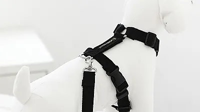 퓨어프렌즈, 건강한 산책을 위한 100%순면 강아지 하네스 출시