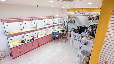 확실한 출처와 사후관리로 차별화된 강아지분양 –프랜차이즈 애견샵 요미독일산점