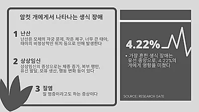 생식기질환, 수컷vs.암컷 다르다!