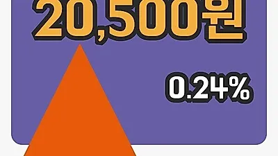국내주식마감한세실업 1일 20,500원 장 마쳐...