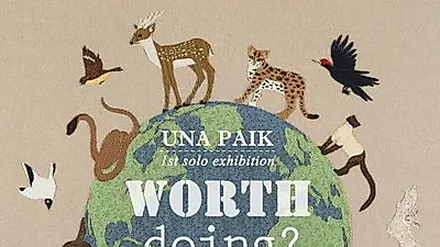 [전시]  'Worth Doing?' 백은하 개인전