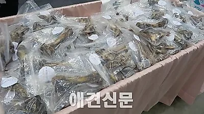 [포토]애견간식계의 베스트셀러 강쥐님수라상, 2015 대구펫쇼
