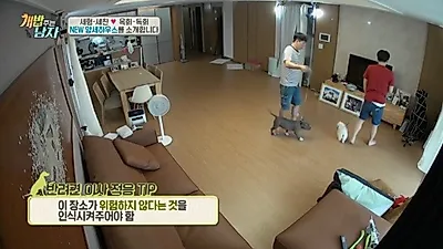 '개밥주는남자', 반려견 이사 적응 '구석구석 돌아다니자'