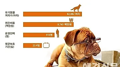 유기동물 처리비용 연간 9,745백만원