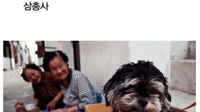농림수산검역본부, 동물사랑 사진 공모전 모음집 인기..