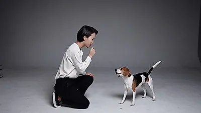 [펫을 부탁해] 강아지훈련 중 산책활동이 중요한 3가지 이유﻿