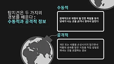 의료 탐지견, 신종 코로나 바이러스 탐지 훈련받는다