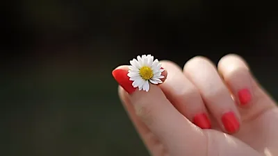 여성 생식기 청결하게 유지하려면