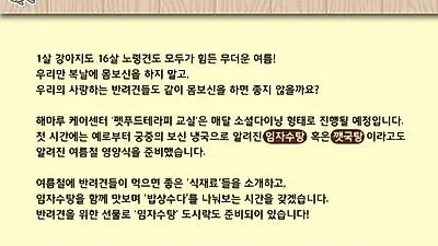 해마루케어센터, 반려인 위한 '펫푸드테라피 교실' 23일 개최