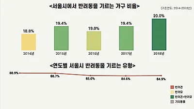 반려동물 보유세 논란 "실효성 없다" vs "책임감 생겨"