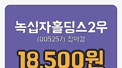 주식마감녹십자홀딩스2우 15일 18,500원 마감그래프복습 및 분석
