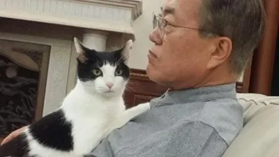 대한민국 '퍼스트 도그'는 문 대통령 반려견 '마루'