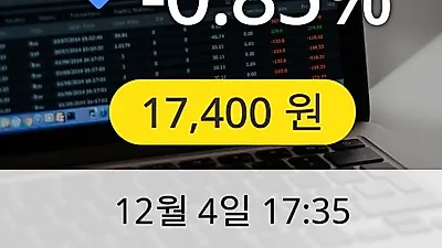 동서 4일 17,400원 장종보고