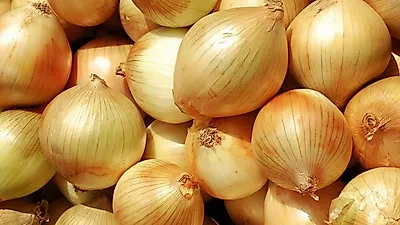 까도 까도 넘쳐나는 양파 효능, 몸에 좋은 양파 맛있게 먹는 요리법은 물론 양파 부작용까지