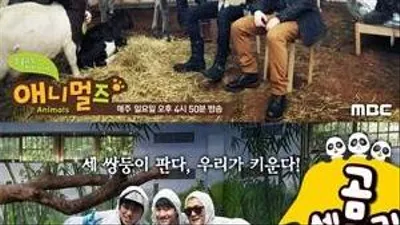 유쾌한 동물예능 '일밤-애니멀즈' 출발, 동물의 안전 복지 문제 우려도...