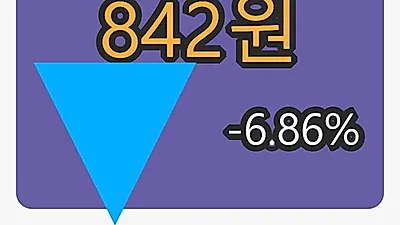 크루셜텍마감가 842원 -6.86퍼센트 변동..