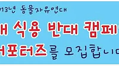 동물자유연대 '개 식용 반대 캠페인' 서포터즈 모집