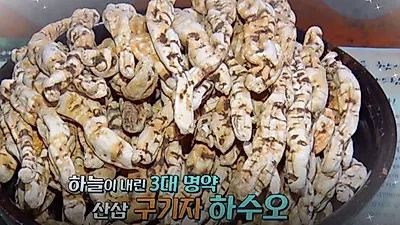 머리가 검해지는 '하수오', 효능보면 깜짝놀라?…섭취 시 열 많은 체질은 주의해야