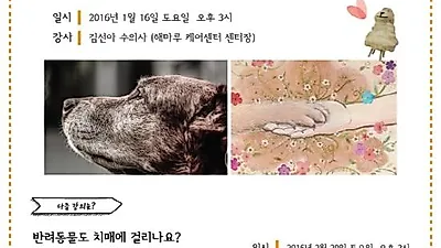 해마루 케어센터, 노령 반려동물을 위한 문화교실 운영