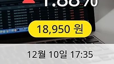 일진다이아 10일 18,950원 장종보고