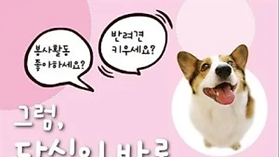 관악구, 반려견과 함께하는 동물매개 봉사활동 실시