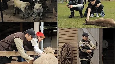 '와일드비트' 2PM, 귀여운 동물들과 좌충우돌 호주 라이프 공개