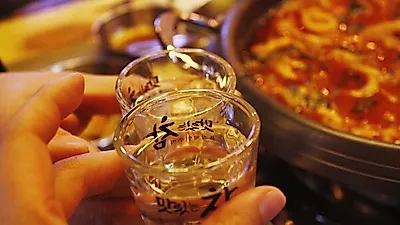 음주운전 처벌기준·벌금과 면허 취소 기간은? 윤창호 법 시행 두 달, 음주운전 사망 65% 감소↓
