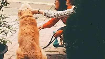 송경아, 외면한 강아지에 애교 발산 "나 좀 봐줘"