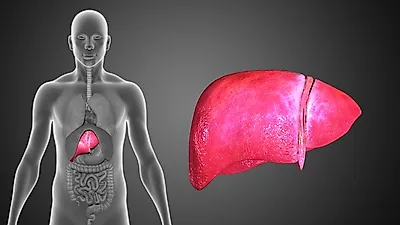 사망률 92% 췌장암 초기증상 및 췌장염과의 연관성은? 췌장암 생존율, 췌장에 좋은 음식 알아보기