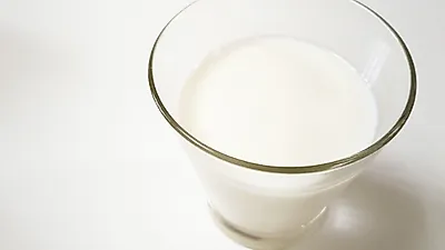 [건강정보] '요즘 대세' 유산균 풍부한  것들은?…조리하는 법까지
