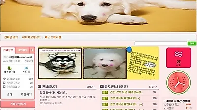견인구역 애견카페