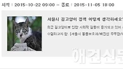 '서울시 길고양이 정책' 관련 엠보팅 종료, "서울시민 의견은?"