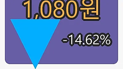일야마감가 1,080원 전일대비 -14.62프로등락..