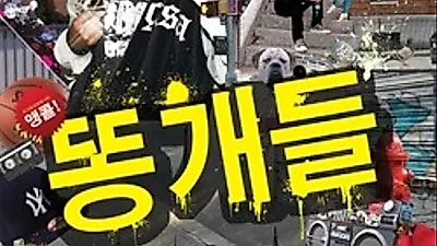 더욱 새로워진 연극 '똥개들'이 돌아왔다.