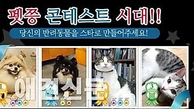 펫쯩, 반려동물 콘테스트 개최 '내 강아지를 스타로~'