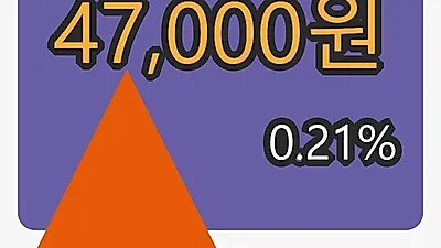 삼성전자 10일 마감가 47,000원 전일비 0.21퍼센트등락..