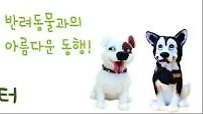 서울대공원 반려동물 입양센터, 동물보호 교육 진행