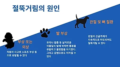 반려견 절뚝거리는 이유는? 나이에 따라 질환과 증상 달라