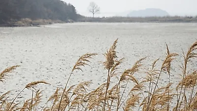 [국내당일치기여행] 아직도 차이나타운? 서울근교 '인천 가볼만한곳' 추천, 바다부터 가을꽃 포토스팟까지!