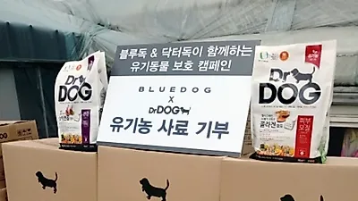 닥터독, 블루독과 함께 유기 반려동물 위한 유기농 강아지사료 공동기부