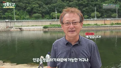5,000 ejemplares de Hwangso-sagari liberados en Hwacheon, Gangwon: comienza la restauración de un monumento natural